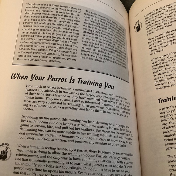 Parrots for Dummies - Picture 3 of 7